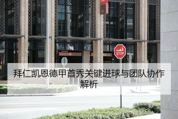 拜仁凯恩德甲首秀关键进球与团队协作解析