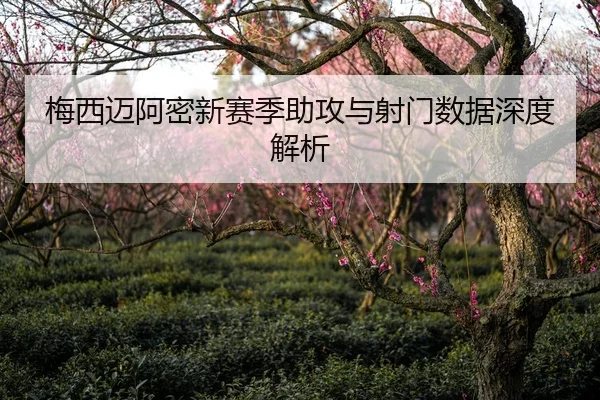 梅西迈阿密新赛季助攻与射门数据深度解析